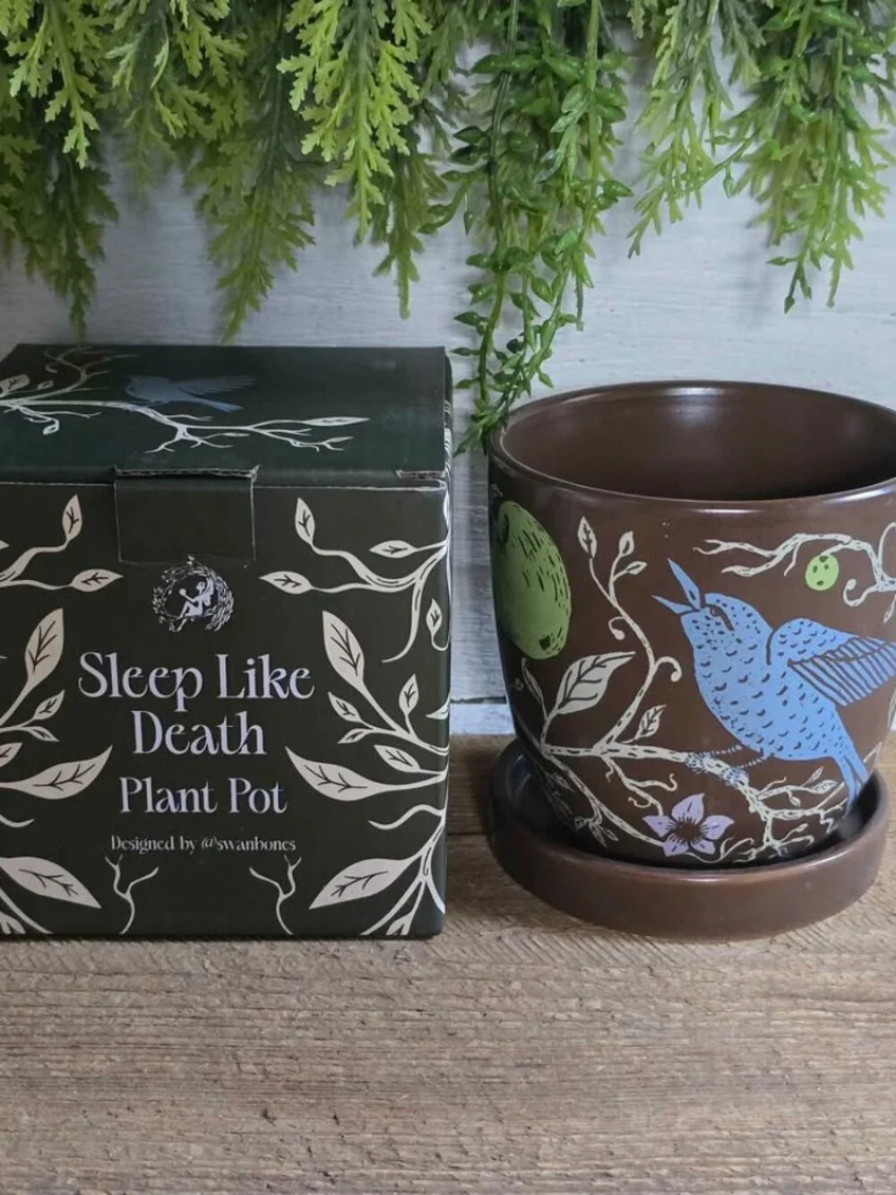 Fairyloot Sleep Like death by Kalynn Bayron Plant Pot with Birds Apples Book Box